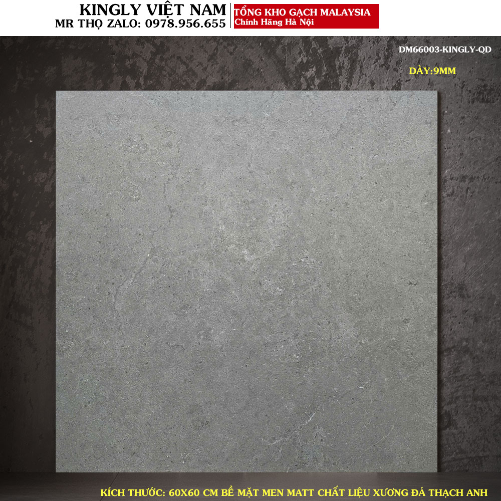 Gạch lát nền vân xi măng 60x60 Malaysia DM66003 Loại 1